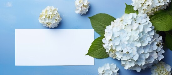 Aufkleber - A top-down view of a beautiful composition featuring hortensia flowers and a blank card on a light