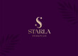 Luxury Minimalist Letter S and Star Logo design vector