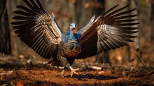 Male Wild Turkey Strutting Generative AI