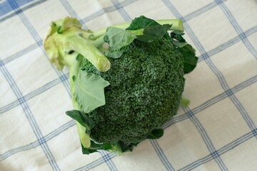 broccoli on a table cloth