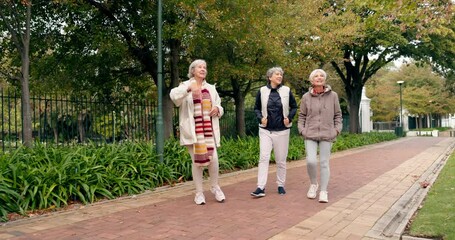 Canvas Print - Senior friends, walking and talking together on an outdoor path to relax in nature with elderly women in retirement. People, happy conversation and healthy exercise in the park in autumn or winter