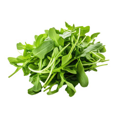 Sticker - Arugula on transparent backround. High quality photo.