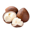 Gorgeous shea nut filled with shea butter.