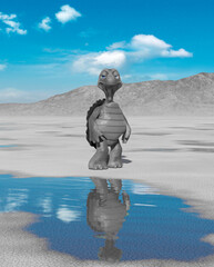 Wall Mural - turtle cartoon is a little smug on the desert after rain