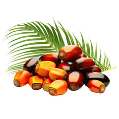 Poster - Fresh palm nuts and palm oil on a white backround.