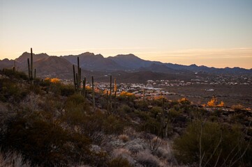 Wall Mural - Tucson, Arizona in the evening showcasing the city skyline and its beautiful sunset colors