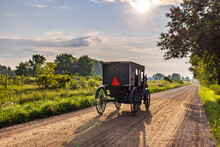 An Amish Buggy Travels Away From The Viewer And Toward The Morning Sun On A Rural, Gravel Road In Summer.