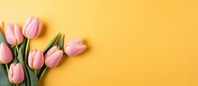A Yellow Tulip Bouquet Is Displayed On A Cork Note Board Against A Pink Background. Empty Space