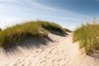 Sand dunes with dune grass on a sunny day, Generative AI