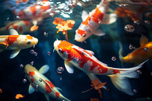Colorful Fish And Koi Swimming In Vivid Underwater World With Sea Life.
