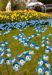 Poster - Blue and yellow flowers in bloom, set against a backdrop of lush greenery