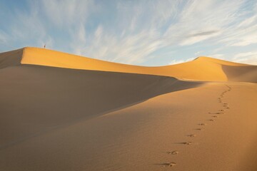 Sticker - Vast expanse of golden sand with a deep blue sky in the background