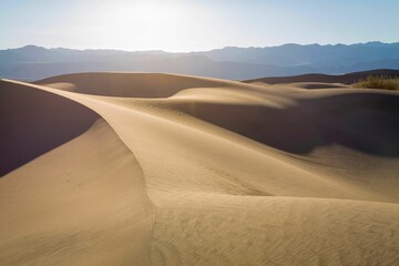 Sticker - Vast expanse of golden sand with a deep blue sky in the background