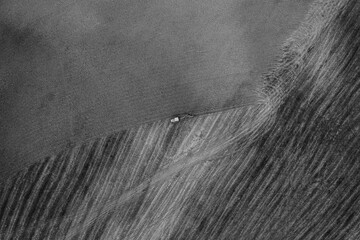 Wall Mural - Aerial view of a tractor cultivating a farmland in Tuscany, Italy in grayscale