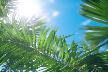 Wall Mural - Green tropical palm leaves against a backdrop of bright summer blue sky and sunshine. Creative sunny summer tropical wallpaper.