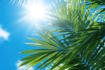 Wall Mural - Green tropical palm leaves against a backdrop of bright summer blue sky and sunshine. Creative sunny summer tropical wallpaper.