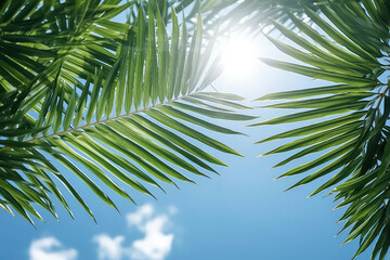 Wall Mural - Green tropical palm leaves against a backdrop of bright summer blue sky and sunshine. Creative sunny summer tropical wallpaper.