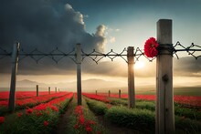 Fence At Sunrise With Flower Garden