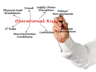 Canvas Print - Woman Presenting Eight Operational Risks