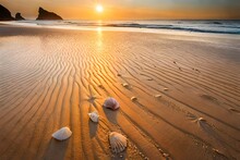 Sunset Over The Sea, Seashells Scattered On A Sunlit Beach, Embedded In Golden Sand