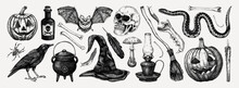 Halloween Vector Illustrations Set. Skull, Bones, Potions, Pumpkin Head, Poisonous Mushrooms, Snakes, Raven Sketches. Hand Drawn Witchcraft And Magic Element For Halloween Design, Print, Decoration