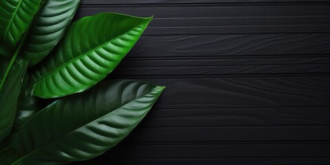 Wall Mural - Flat lay photo black wooden and green leaf around it, copy space background. Generative AI image weber.