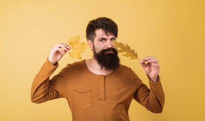 Wall Mural - Autumn clothing for men. Handsome man in orange sweater with yellow fall leaves. Men casual fashion. Seasonal autumn fashion. Smiling bearded man with autumn leafage. Autumn male model. Season sales.