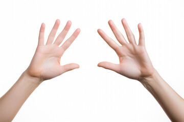 Female hands isolated on white background. High quality photo