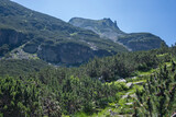 Fototapeta Na ścianę - Landscape of Rila Mountain near Malyovitsa hut, Bulgaria