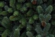 © Achira22 - Merry Christmas background. Fir tree brunch Background. Generative ai