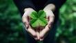 Female hand holding green clover leaf on nature background.