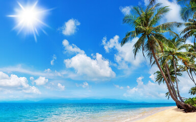 Canvas Print - Tropical island paradise sea beach, beautiful nature landscape, coconut palm tree leaves, turquoise ocean water, sun blue sky white cloud, sand, Caribbean, Maldives, Thailand summer holidays, vacation