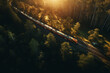© frimufilms - A train crossing a forest on the railway