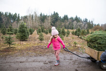 Side View Of Young Girl Pulling Cart With Christmas Tree