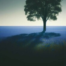 Lone Tree Casting A Shadow On A Field Of Blue Wildflowers