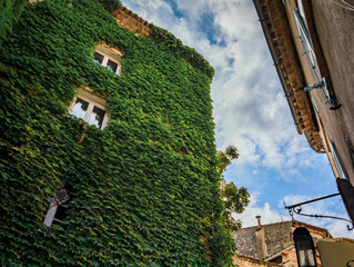 Poster - Ivy covered wall of a traditional old stone house in picturesque medieval town of Saint Paul de Vence, French Riviera, South of France