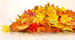 © andreusK - pile of orange fall  leaves, autumn natural background