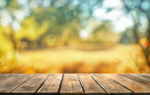 Fall  Leaves And Old Wooden Board, Autumn Natural Background