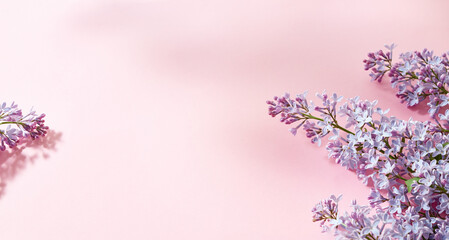 Wall Mural - flat lay frame with lilac branches on a pink background