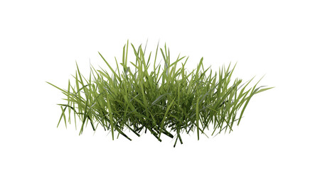 Wall Mural - bunches of grass on a transparent background. 3d rendering.