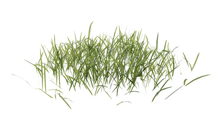Wall Mural - bunches of grass on a transparent background. 3d rendering.