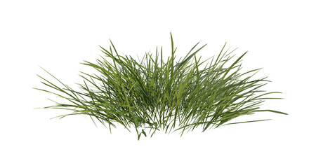 Wall Mural - bunches of grass on a transparent background. 3d rendering.