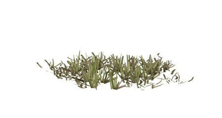 Wall Mural - bunches of grass on a transparent background. 3d rendering.