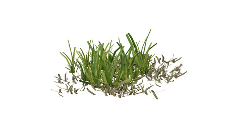 Sticker - Bunches of grass on a transparent background. 3D rendering.