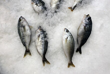 Close Up Of A Fresh Fish On Ice In The Supermarket
