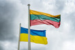 Litauen und Ukraine vereint im Kampf gegen den Krieg