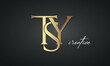 luxury letters TSY golden logo icon premium monogram, creative royal logo design	
