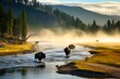 Yellowstone National Park: A Majestic View of the Buffalo by the River in the US: Generative AI