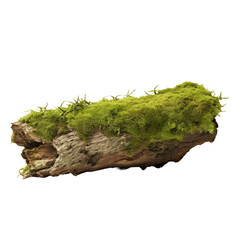 Canvas Print - Green moss covered log on transparent backround, isolated with clipping path.