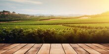 Empty Wood Table Top With On Blurred Vineyard Landscape Background, For Display Or Montage Your Products. Agriculture Winery And Wine Tasting Concept.